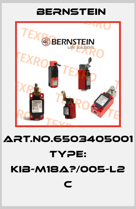 Art.No.6503405001 Type: KIB-M18A?/005-L2             C Bernstein