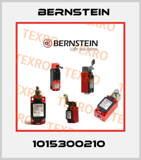 1015300210  Bernstein