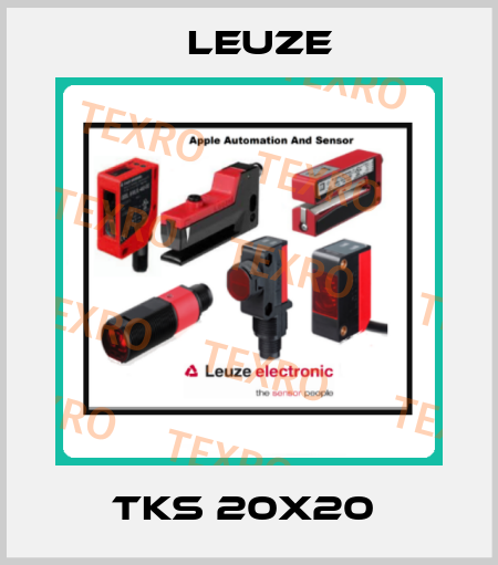 TKS 20x20  Leuze