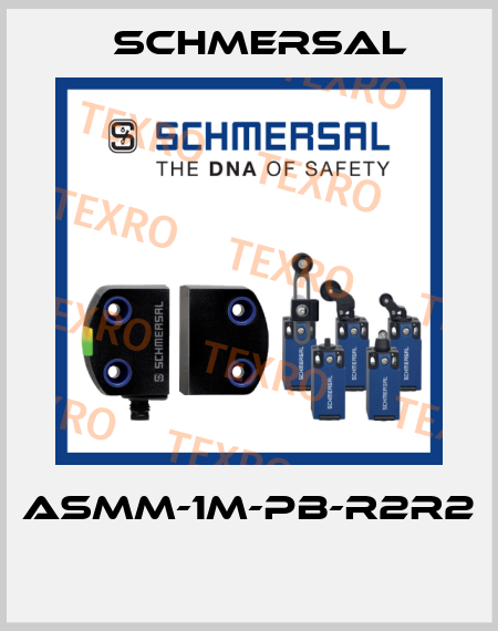 ASMM-1M-PB-R2R2  Schmersal