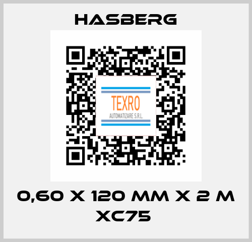 0,60 X 120 MM X 2 M XC75  Hasberg