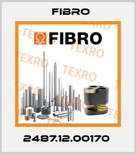 2487.12.00170  Fibro