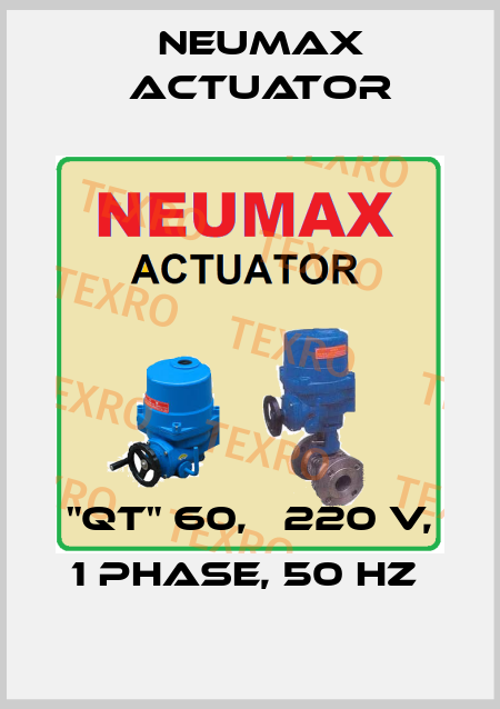 "QT" 60,   220 V, 1 PHASE, 50 HZ  Neumax Actuator