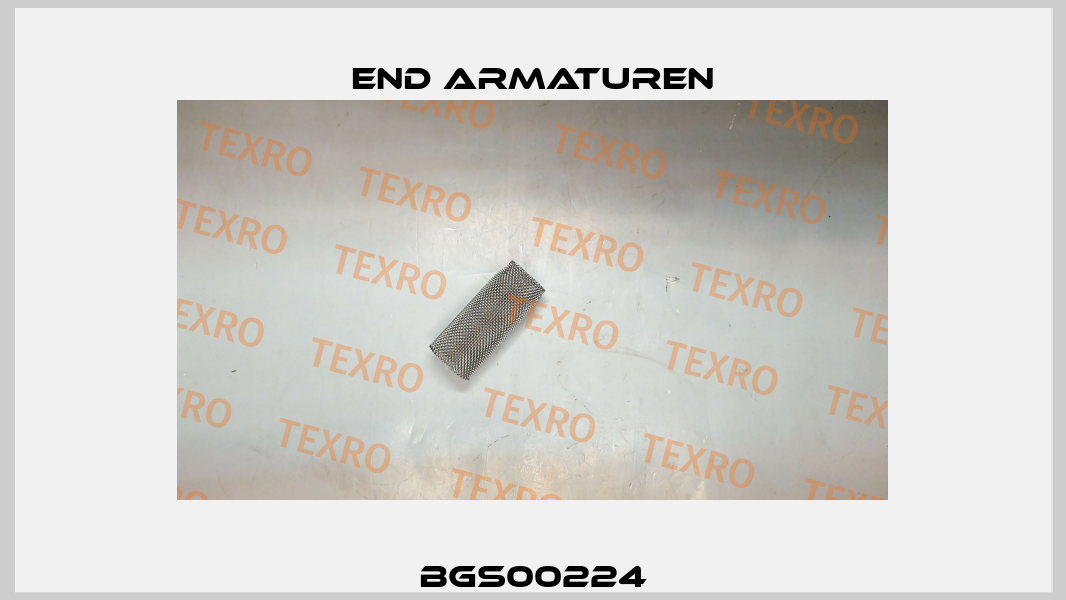 BGS00224 End Armaturen