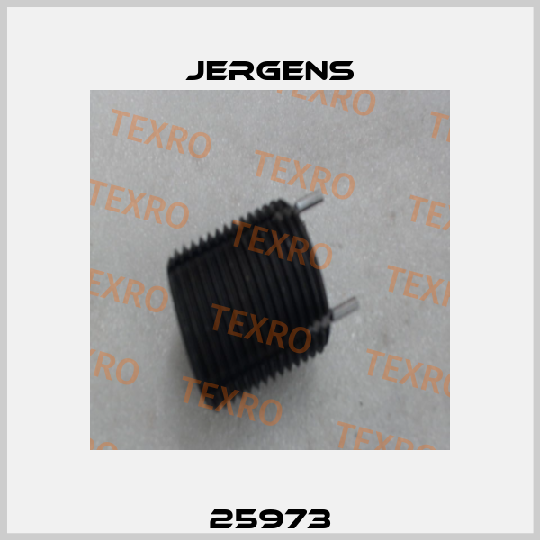 25973 Jergens