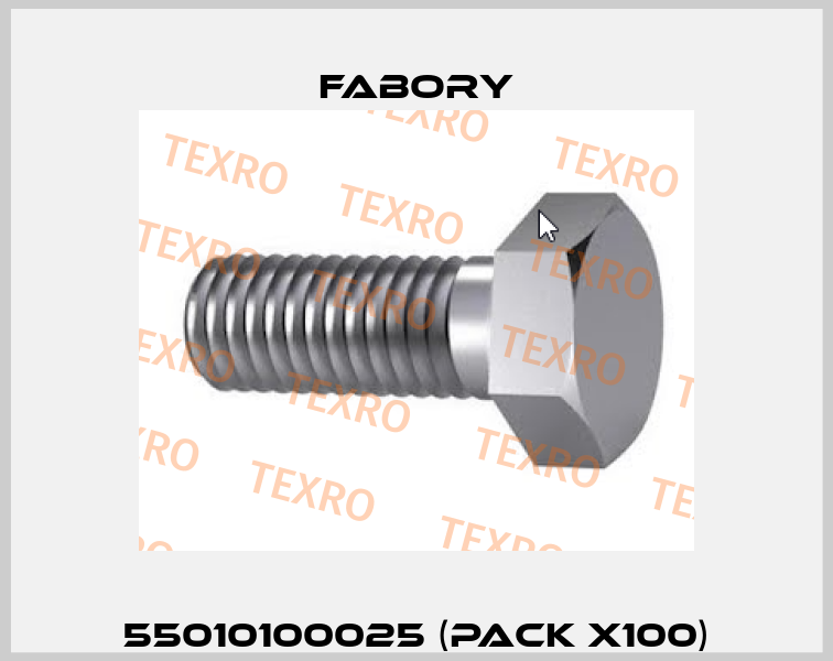 55010100025 (pack x100) Fabory