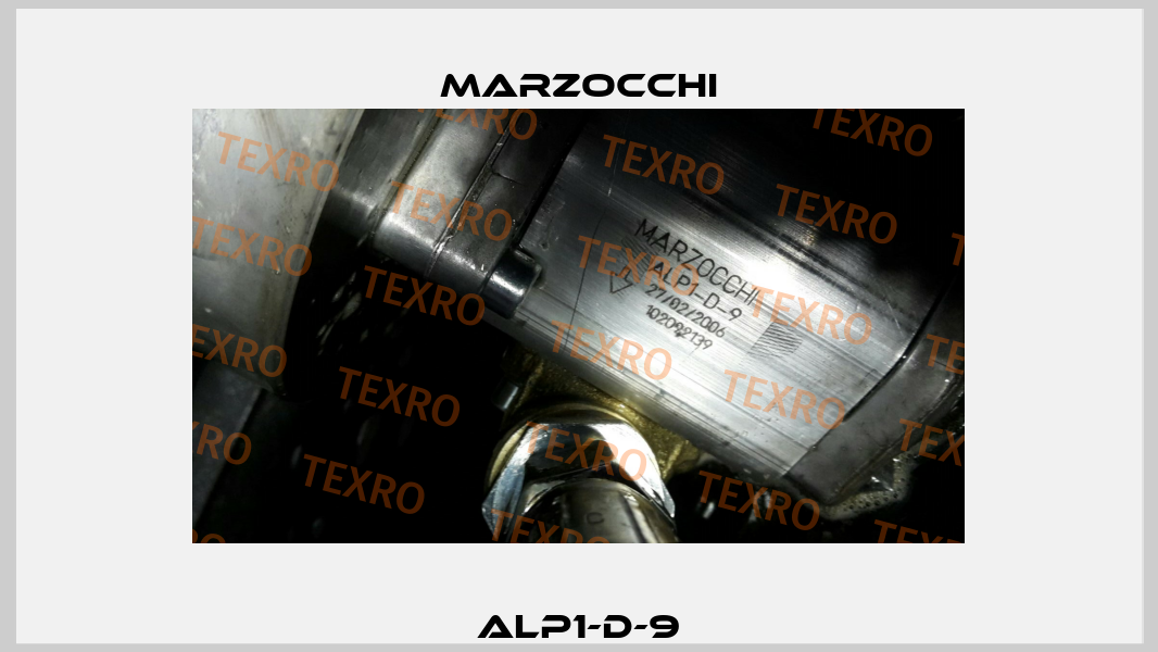 ALP1-D-9 Marzocchi