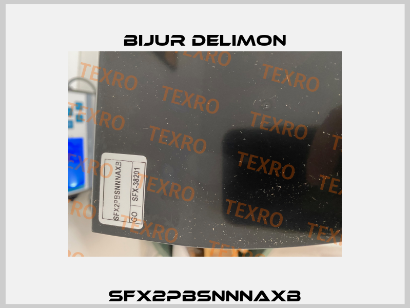 SFX2PBSNNNAXB Bijur Delimon