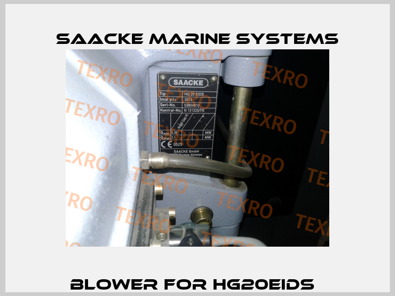Blower for HG20EIDS   Saacke Marine Systems