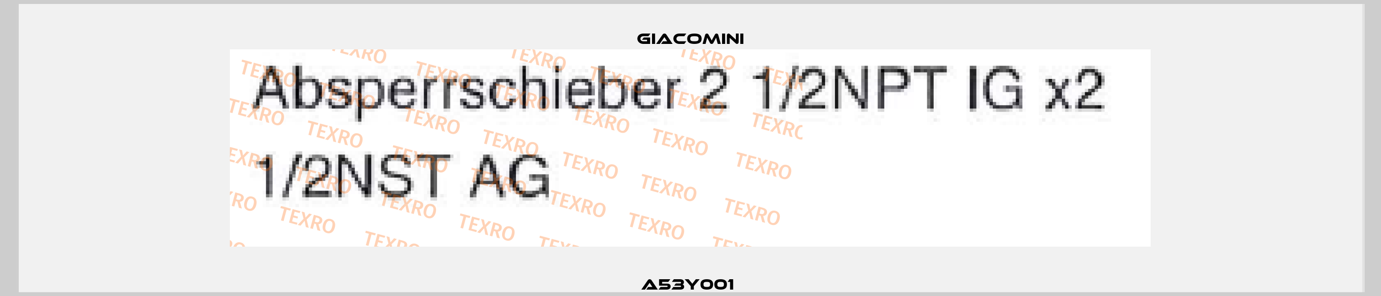 A53Y001  Giacomini