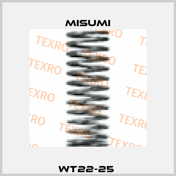 WT22-25  Misumi