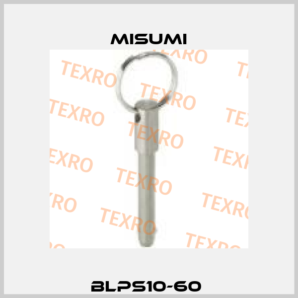 BLPS10-60  Misumi