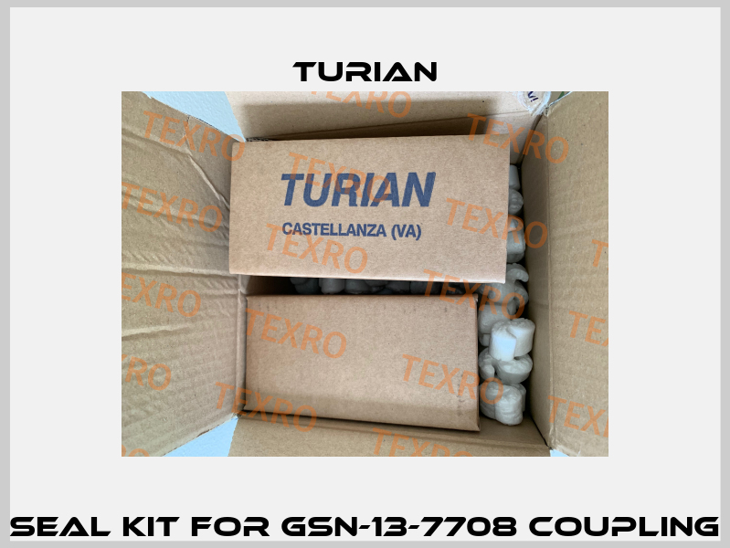 seal kit for GSN-13-7708 coupling Turian