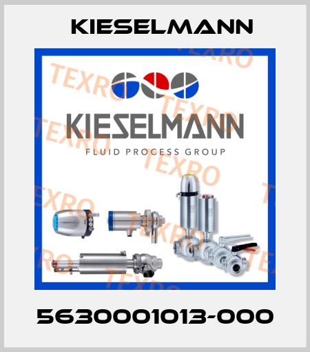5630001013-000 Kieselmann