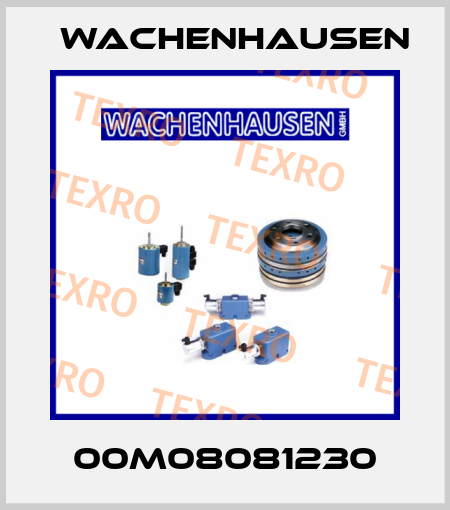 00M08081230 Wachenhausen