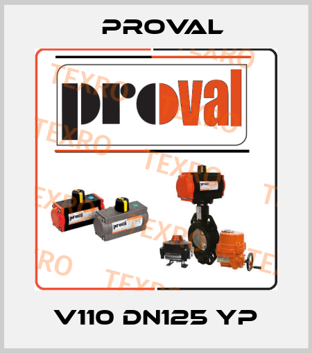 V110 DN125 YP Proval