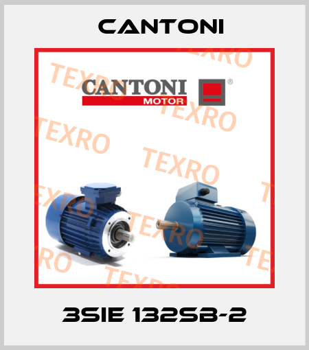 3SIE 132SB-2 Cantoni