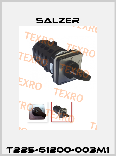 T225-61200-003M1 Salzer