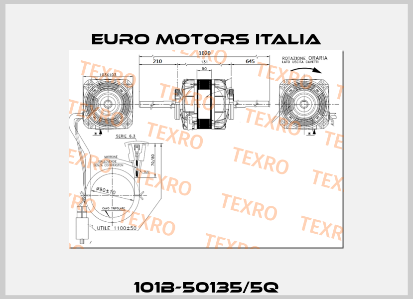 101B-50135/5Q Euro Motors Italia