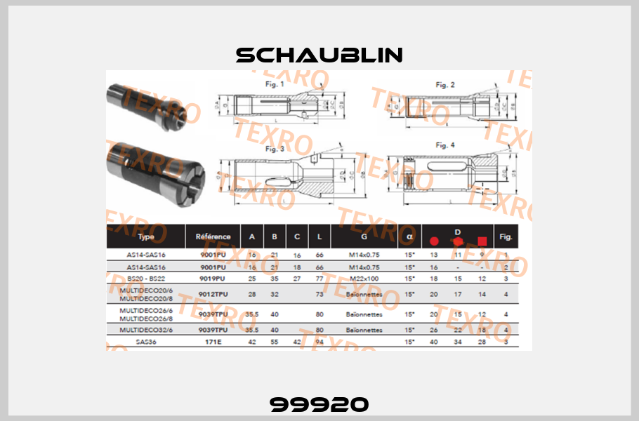 99920 Schaublin