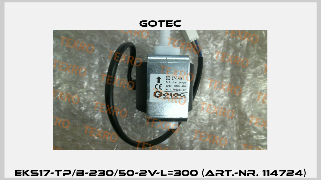 EKS17-TP/B-230/50-2V-L=300 (Art.-Nr. 114724) Gotec