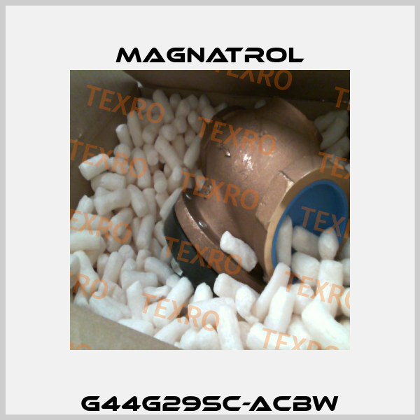 G44G29SC-ACBW Magnatrol