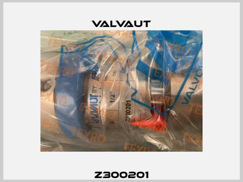 Z300201 Valvaut