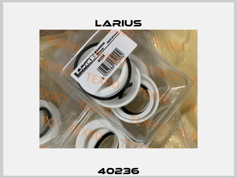 40236 Larius