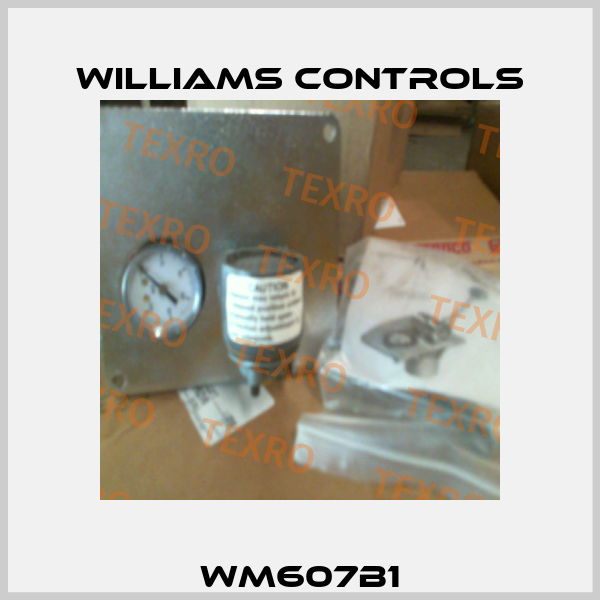 WM607B1 Williams Controls