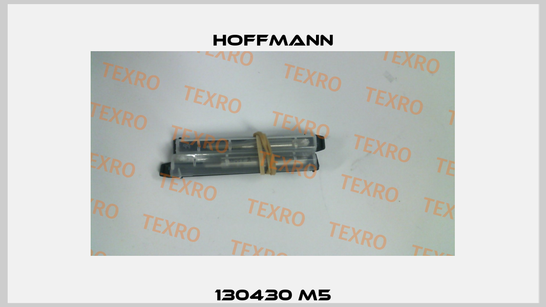 130430 M5 Hoffmann
