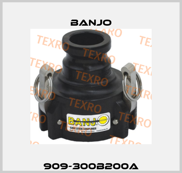 909-300B200A Banjo