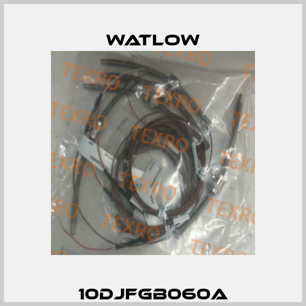 10DJFGB060A Watlow