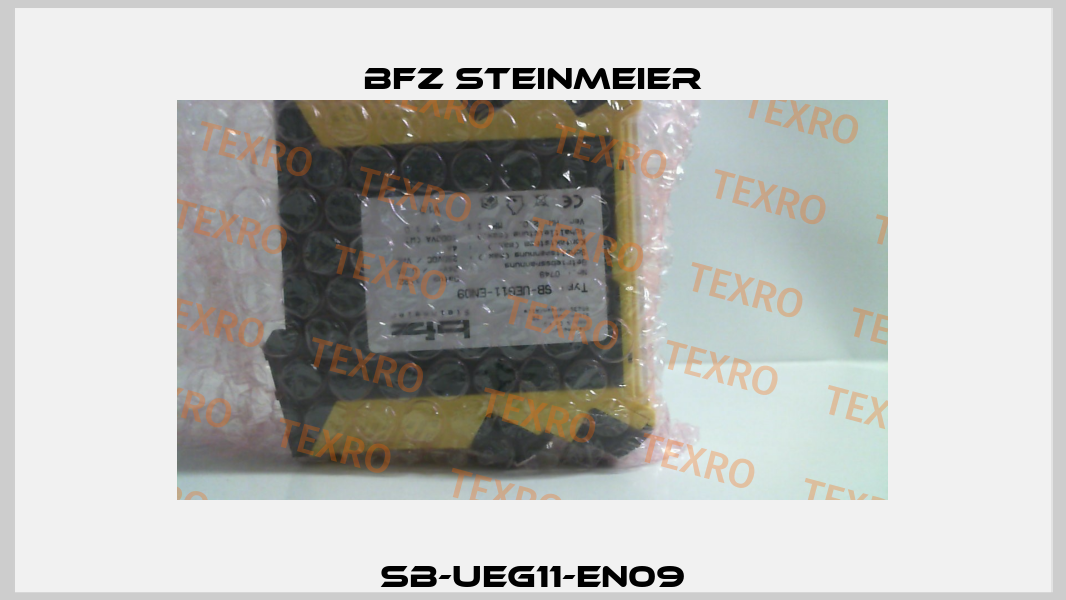 SB-UEG11-EN09 BFZ STEINMEIER