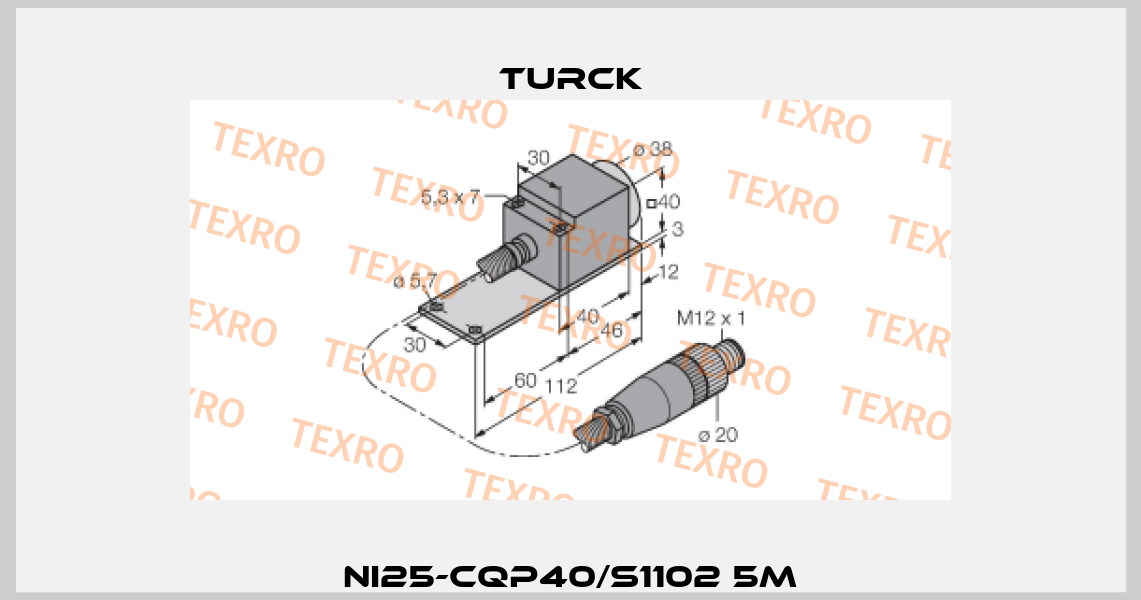 NI25-CQP40/S1102 5M Turck