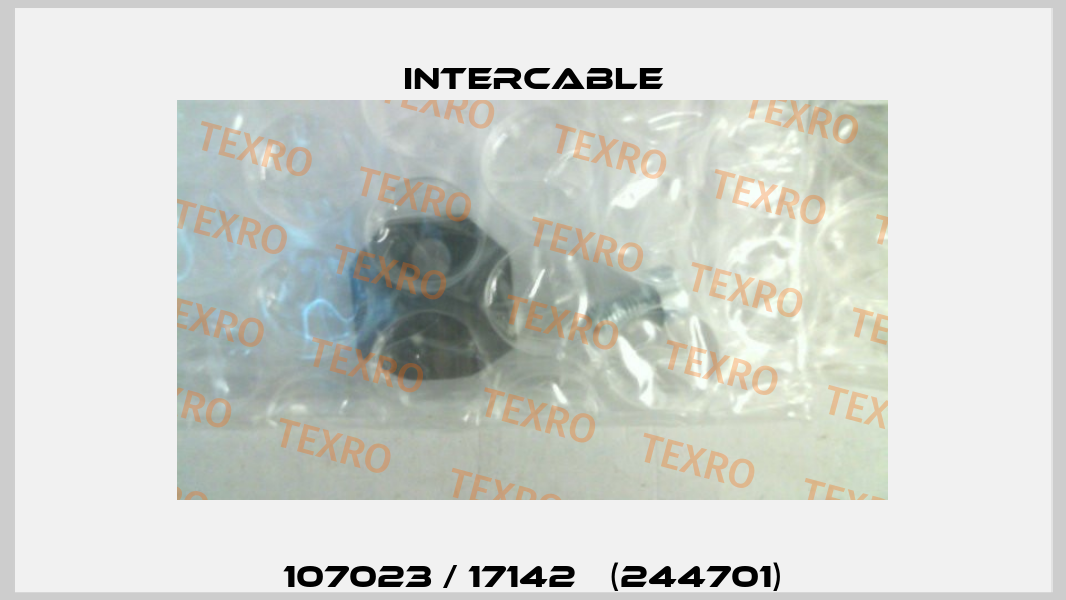 107023 / 17142   (244701) Intercable