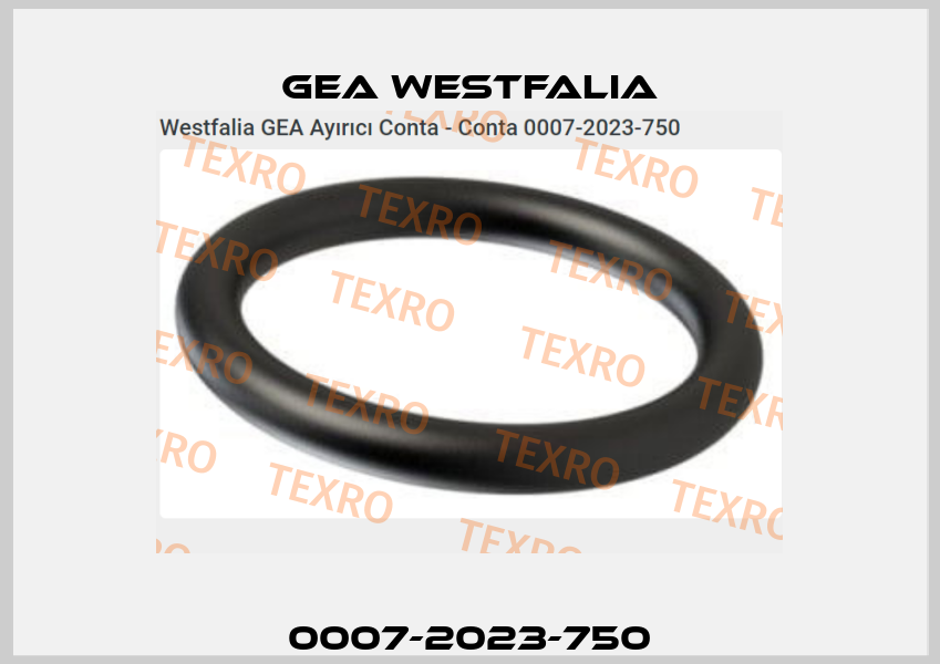 0007-2023-750 Gea Westfalia