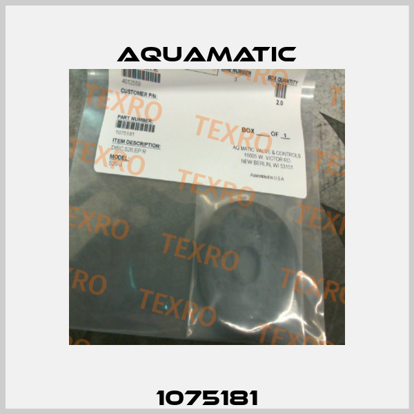 1075181 AquaMatic