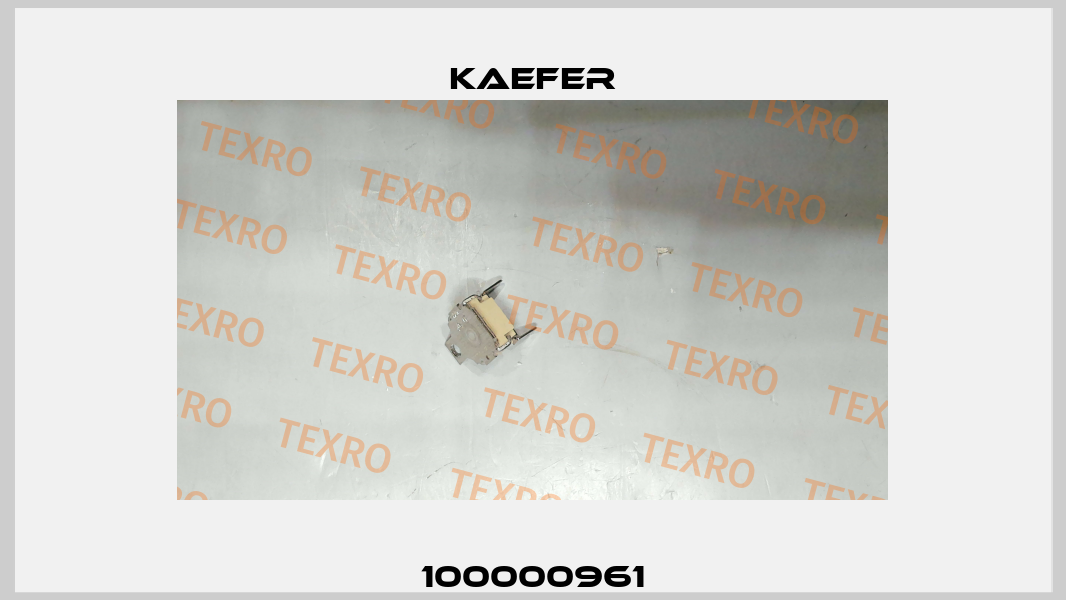100000961 Kaefer